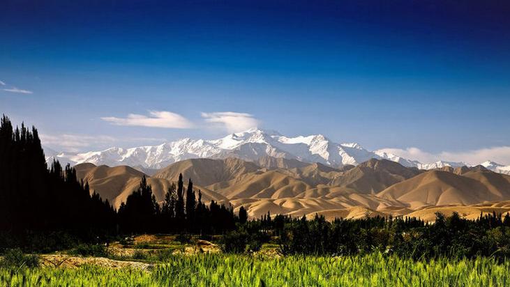 世间有和田枣，我就是吃不厌