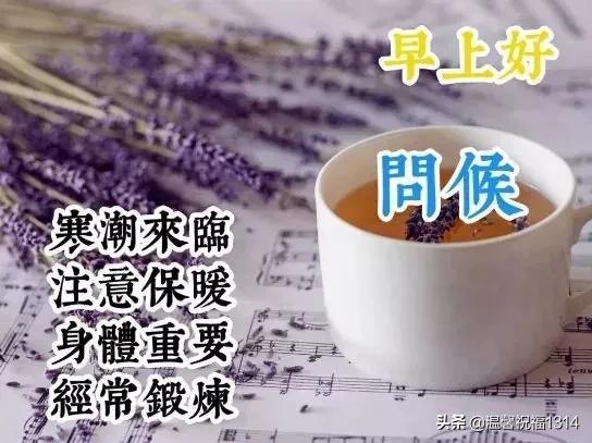 星期一早晨祝福问候语,星期天早上问候语温馨正能量