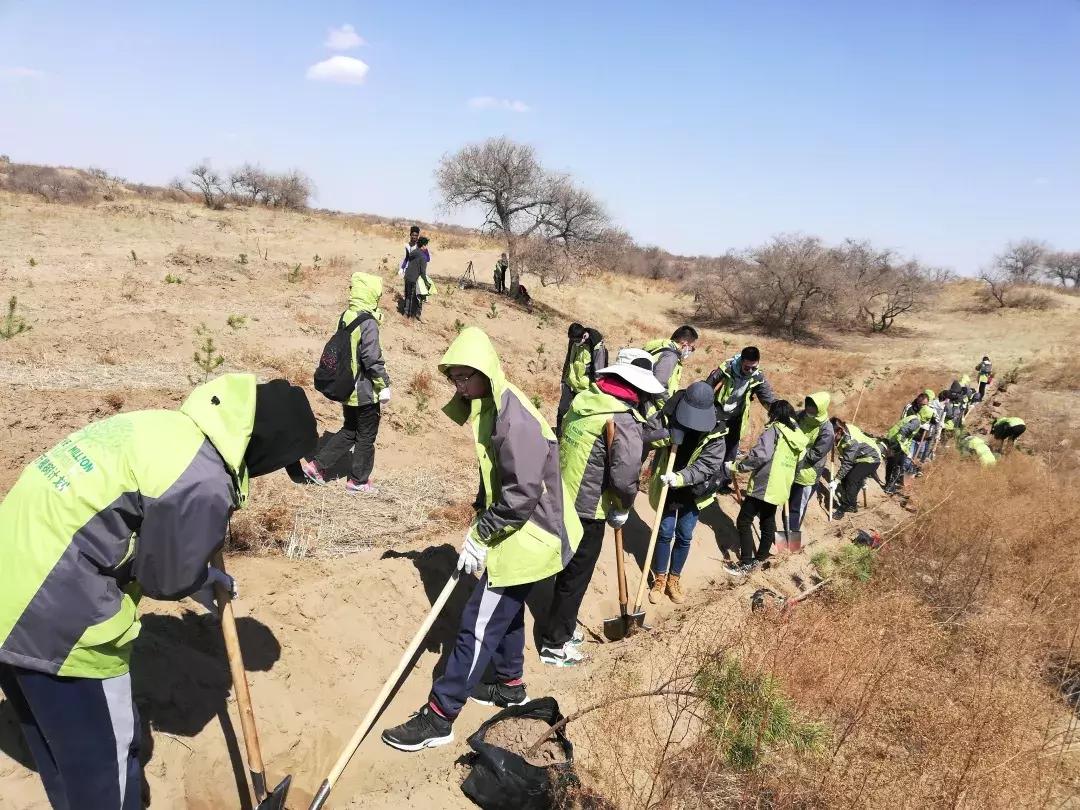 seeds丨走，去中国北疆种一棵圣诞树！
