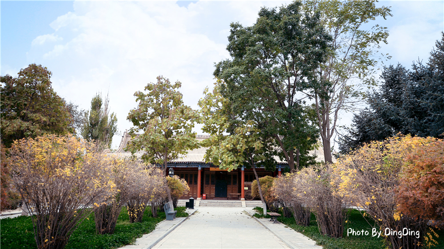 张掖大佛寺之大佛殿的认识,张掖大佛寺为什么值得参观