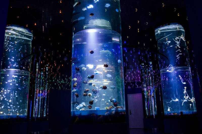 海悦天地海洋公园,庄里溜娃好去处