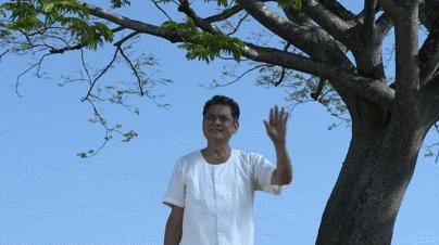 恕我直言综艺完整版在线,恕我直言综艺完整版