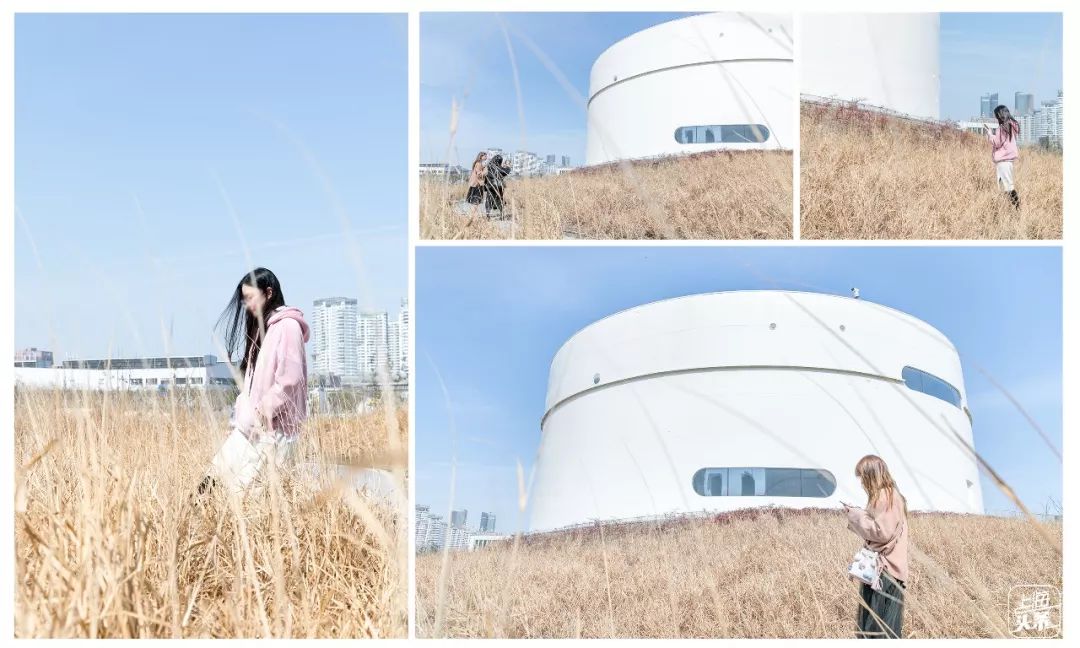 生日当天上海免费景点,上海网红打卡地点景点免费