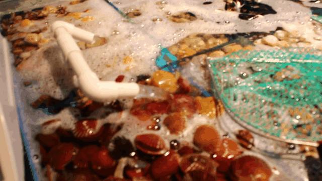 廊坊万向城华谊影讯,廊坊万向城小区是回迁房吗