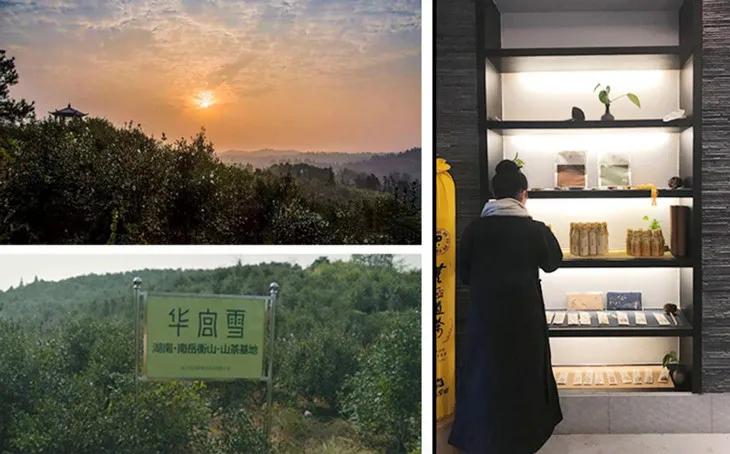 冷美人保湿精华,国货好物润肤保湿