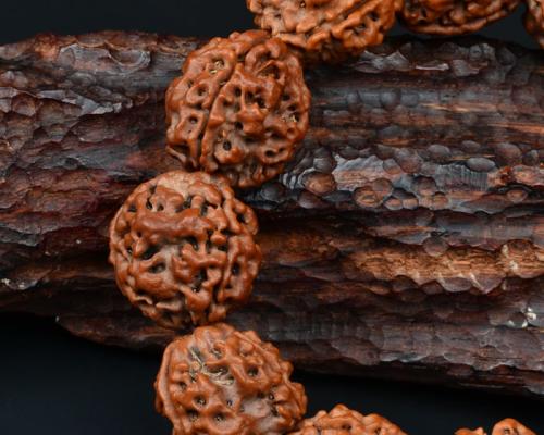 金刚不同阶段的分解图,金刚菩提什么桩型最好