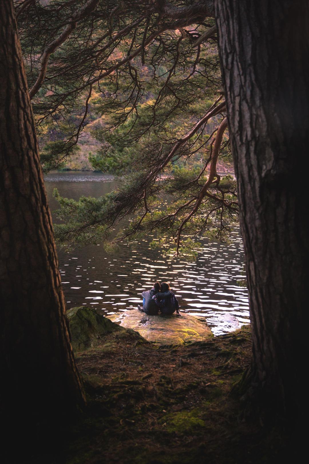 英国和爱尔兰是两个国家吗,爱尔兰都柏林是哪个国家