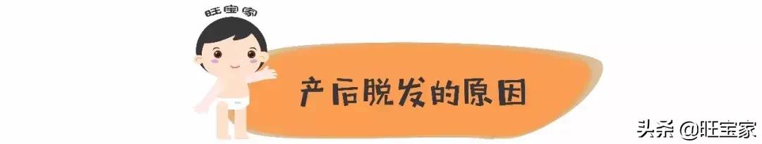 生娃是罐秃顶剂,从此我变成了裘千尺
