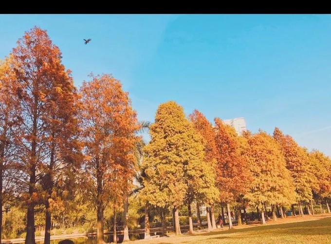 2023年厦门自由行热门攻略,厦门春节旅游攻略自由行最佳路线