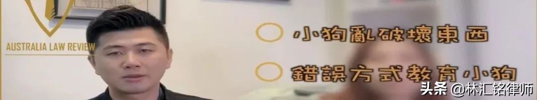 澳政府严打现金交易！购新车现金交易部分不超过1万澳币