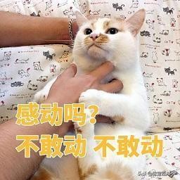 网红天文球戒指,抖音最火的天文戒指