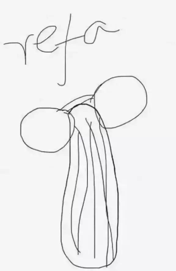 朋友圈代购变身灵魂画手,朋友圈突然多了好多代购