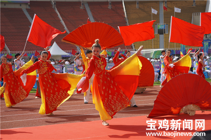 宝鸡第八届特奥会,第八届特奥会游泳陕西队