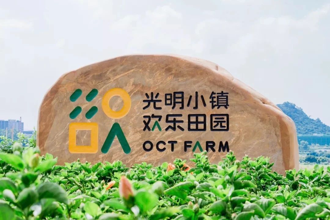 放假在深圳能去哪里玩,放假了可以去深圳的哪些地方玩