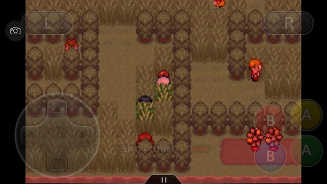 口袋妖怪究极绿宝石4攻略33,口袋妖怪究极绿宝石4完全攻略