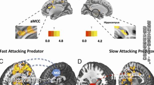 读博士的意义在哪里,为什么要读博士该从哪几个方面谈