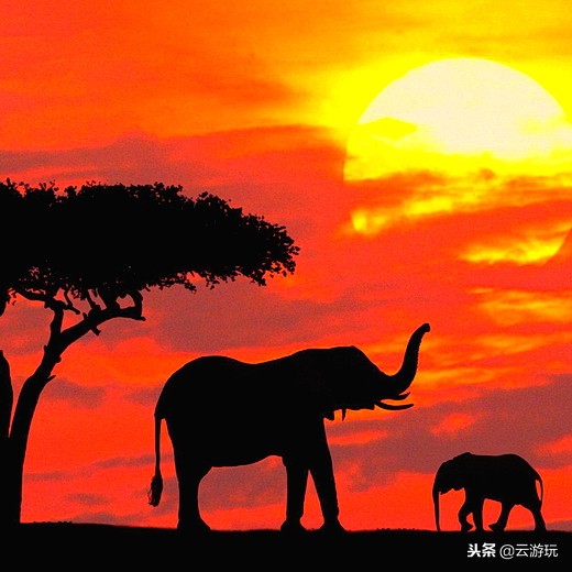 全球十大日落观赏点,全球日落最美的三个地方