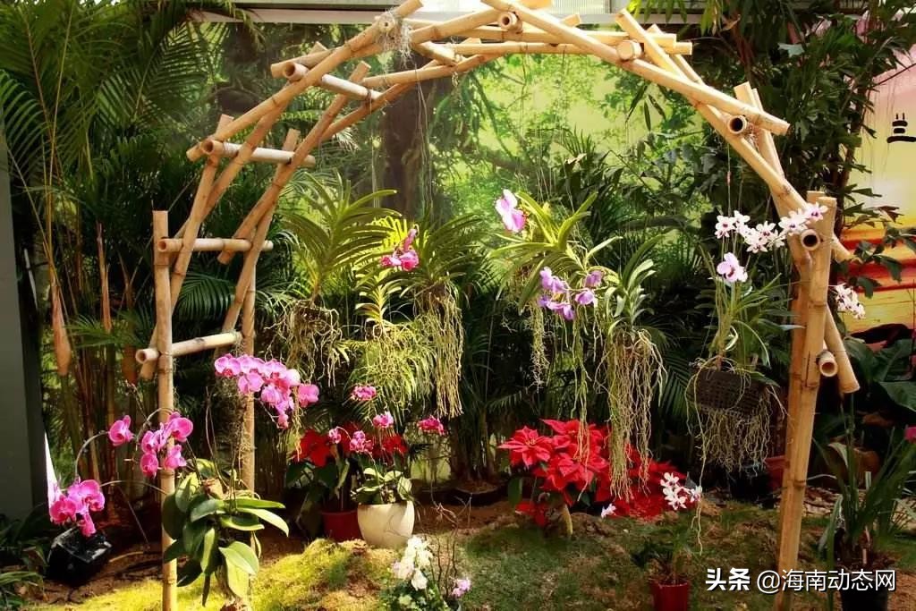 趁着春光出游海南,趁着春光明媚去旅行