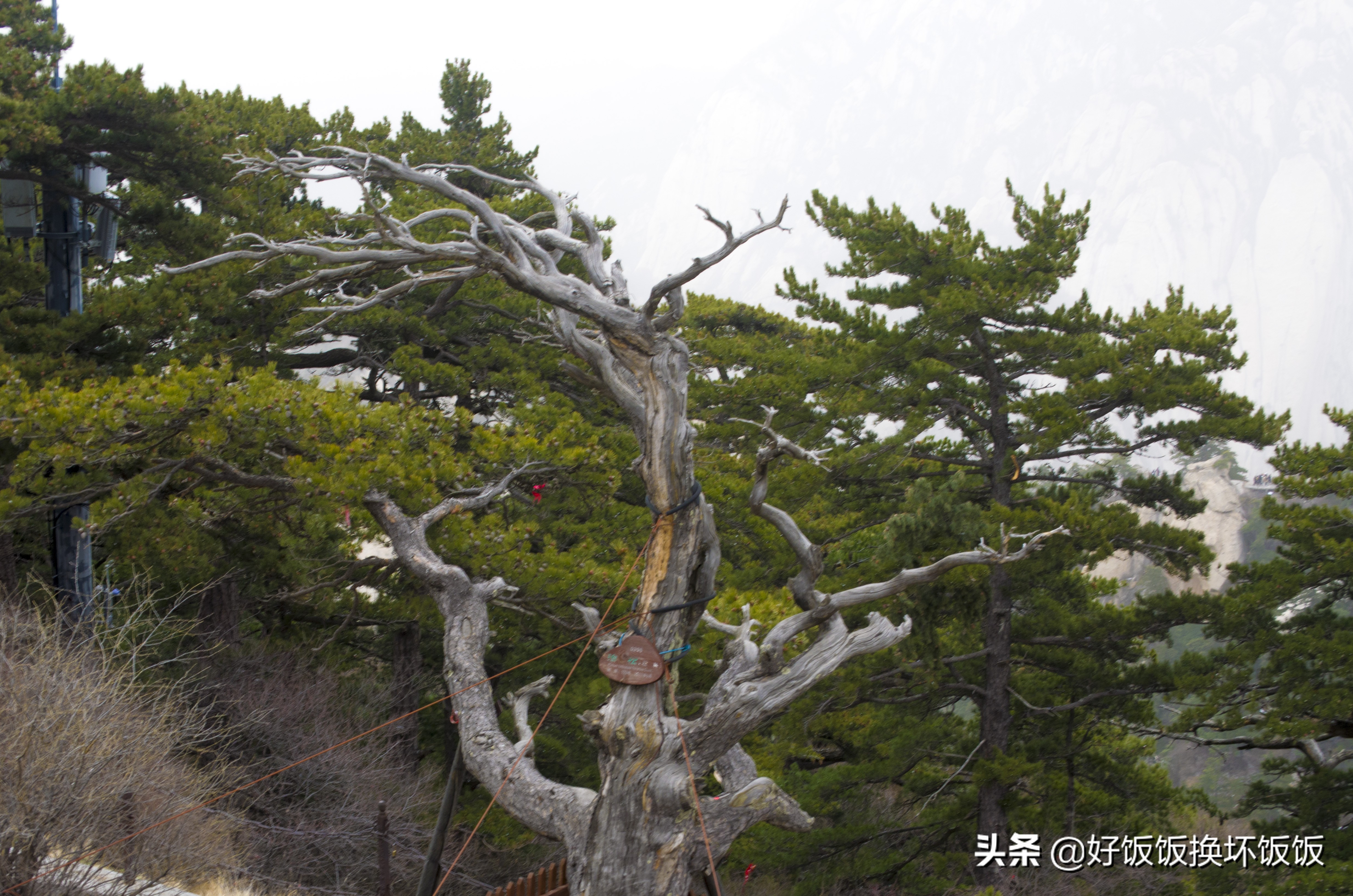 华山站到华山北峰怎么走,华山西峰到华山北峰山路怎样
