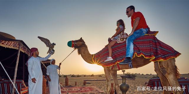 去迪拜要做的十件事,去迪拜必须会阿拉伯语吗