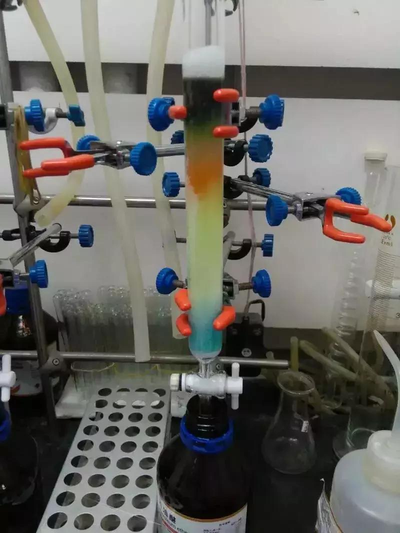 终局之战!!“光影化境”悦昌行杯摄影大赛复赛等你投票~