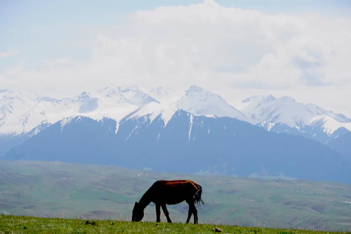 占中国六分之一地盘的*疆新**,12个5A景区N个世界遗产你走过多少?