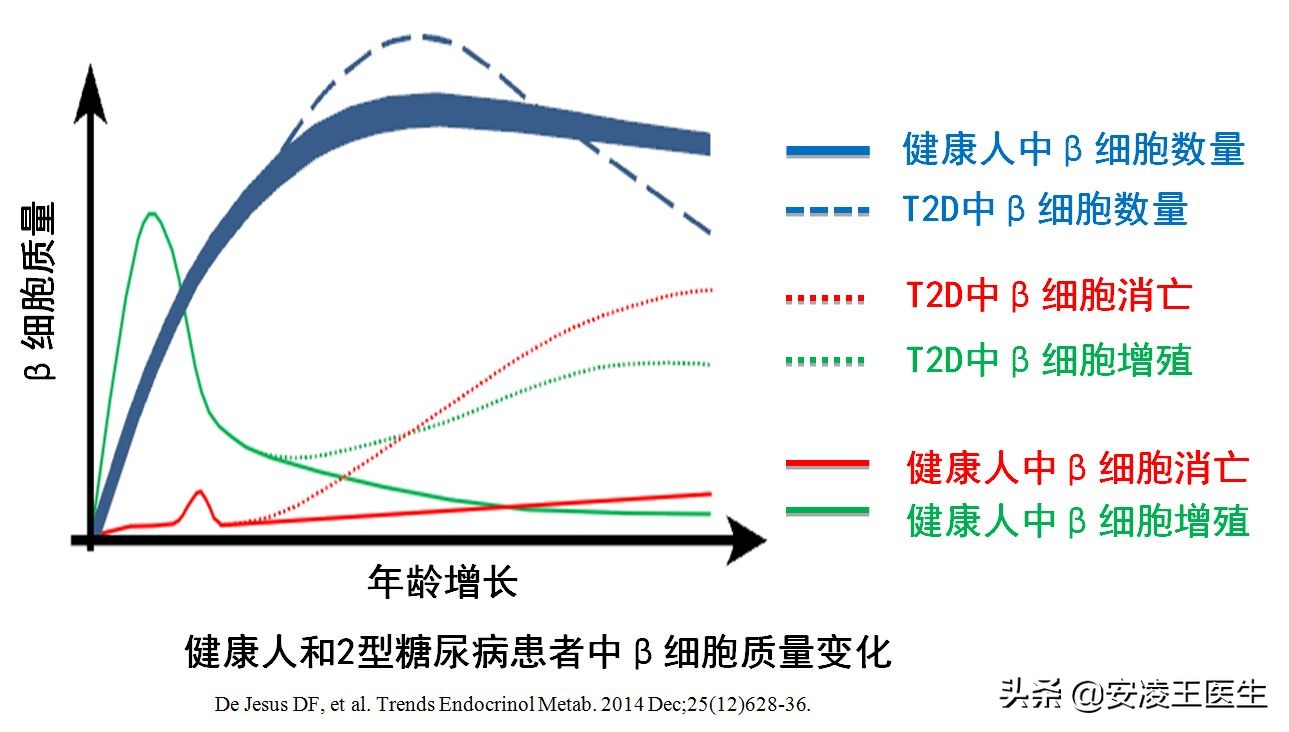 西格列汀使用多久稳定血糖,吃一片西格列汀能降多少血糖