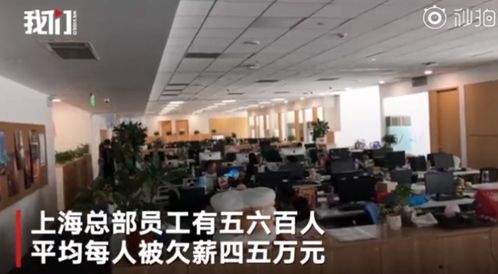 韦博英语关店风波,韦博英语破产创始人会被判刑吗