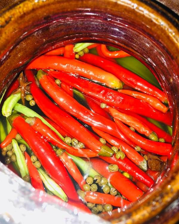 简单好吃四川泡菜最正宗的做法,四川泡菜教程开胃又下饭