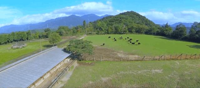 日本和牛三大名牛,日本和牛最出名