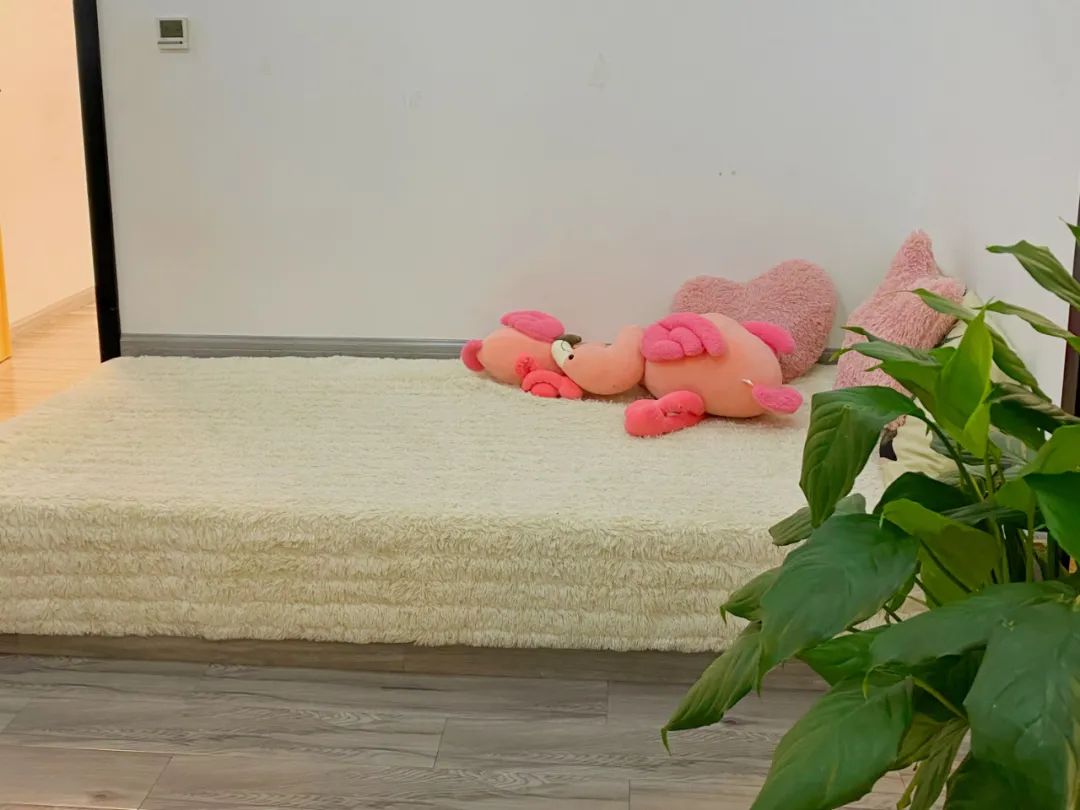 四美探店｜|市中心这家商场升级啦！新增9家商户，超多惊喜