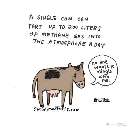 想象中不一样的动物冷知识,悲伤的动物视频