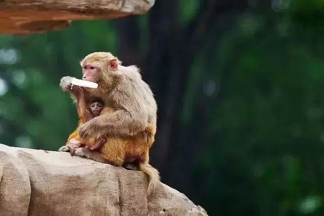 请回答郑州青年,请回答1988完整视频