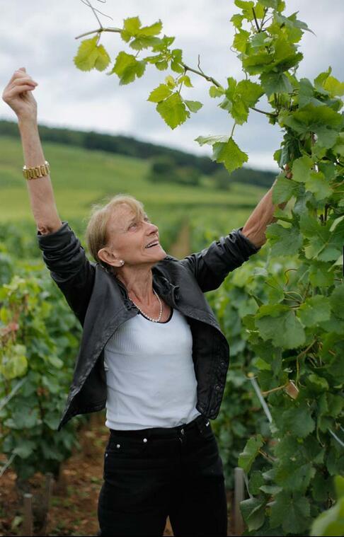 世界顶级十大红酒排行榜,法国顶级红酒十大品牌