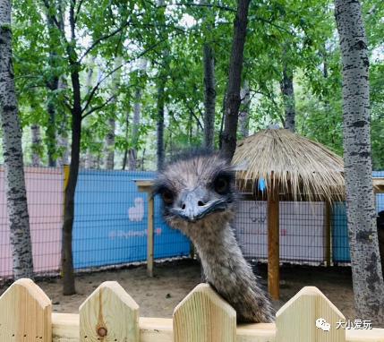 北京清明节遛娃好去处,北京适合遛娃的博物馆