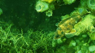 普通人怎么用手机拍大片,普通人用手机如何拍视频