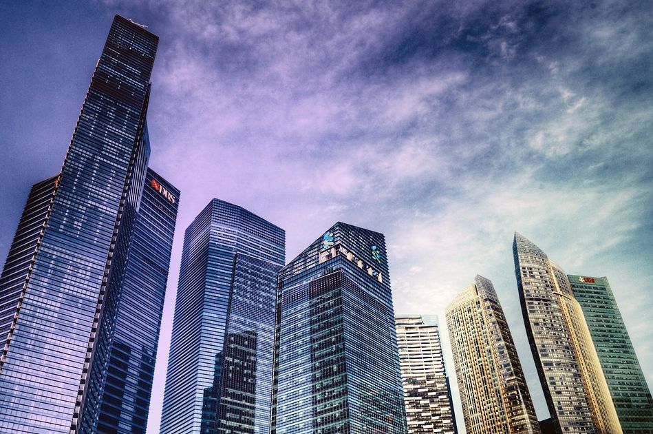 萨摩耶用品好物推荐,萨摩耶买什么保险