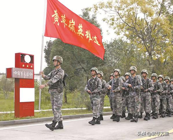 岭南雄师是哪个部队,岭南雄师部队