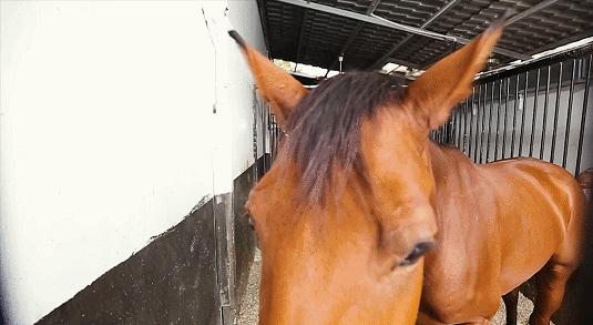 深圳旅游攻略登山,深圳游玩冲浪路线攻略