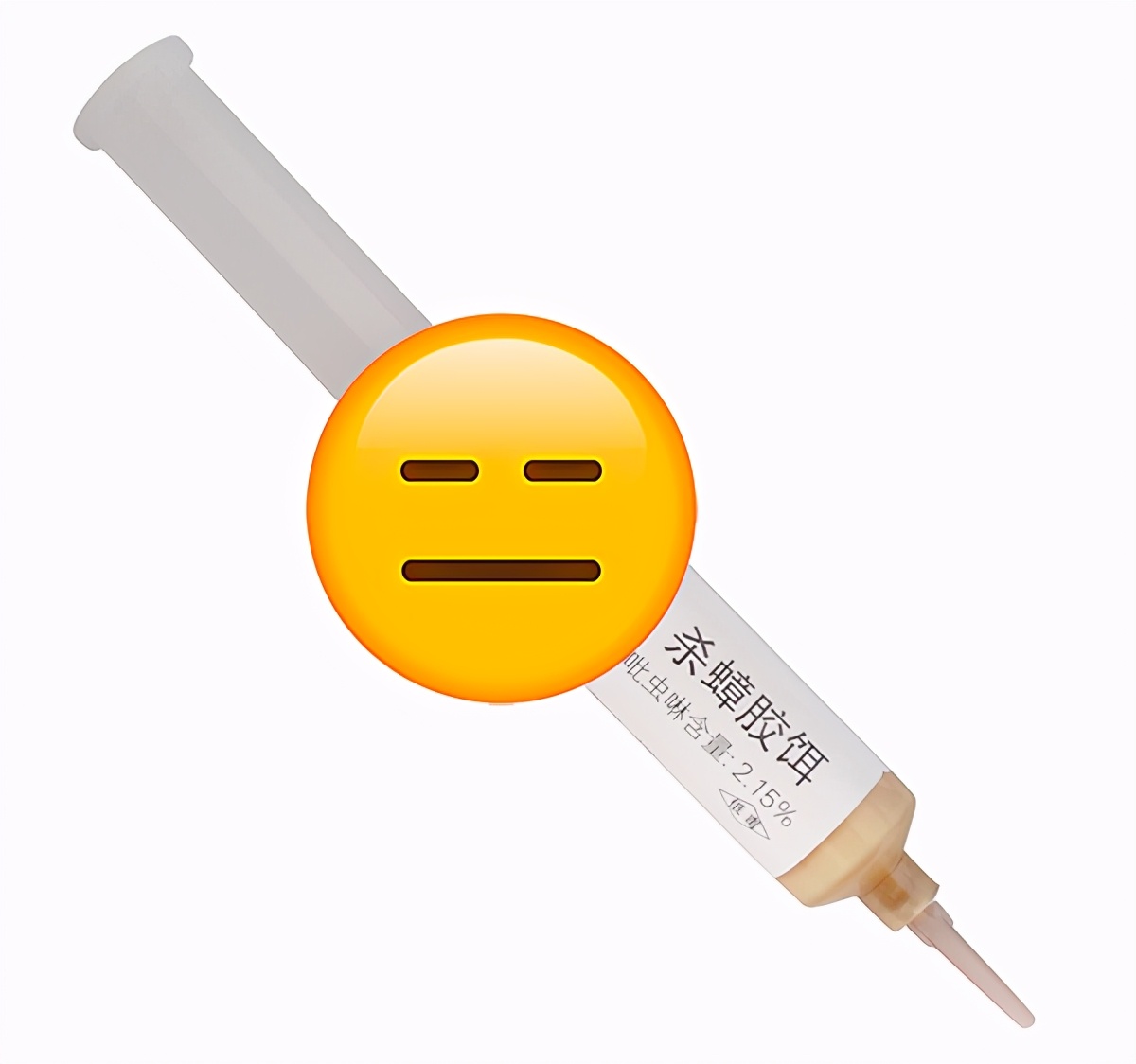 南方蟑螂,广东蟑螂很担心你是什么梗