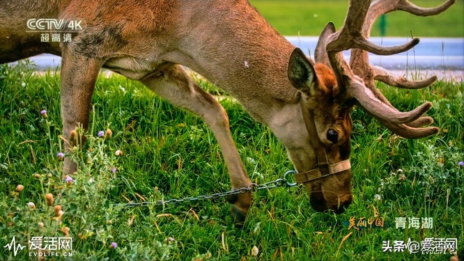 在家可以享受影院级的震撼视频,在家享受影院效果
