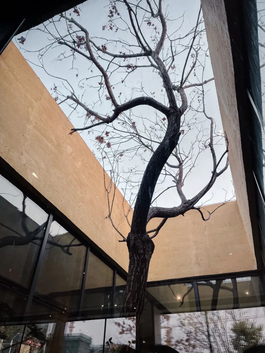 京城首家！探秘最热门“一尺花园”咖啡馆，西山脚*体下**会海派腔调