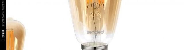 爱迪生发明电灯的艰难过程,爱迪生发明的第一代电灯