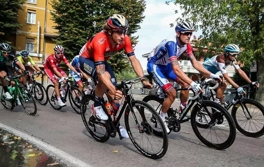 巴林美利达简介,巴林美利达