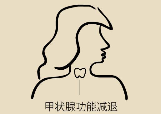 甲减病人一般甲减正常值能活多久,甲减的表现症状和甲减危害