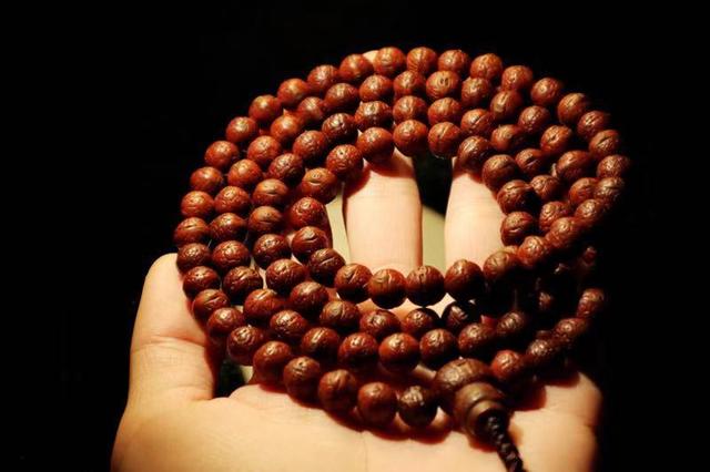 凤眼菩提是菩提吗,凤眼菩提与金刚菩提