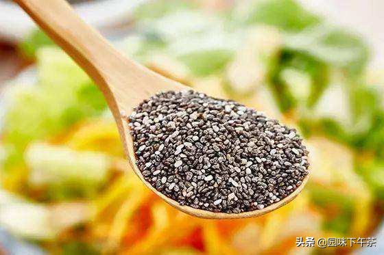 奇亚籽跟亚麻籽哪个更适合减肥吃,奇亚籽真的能减肥吗怎么吃