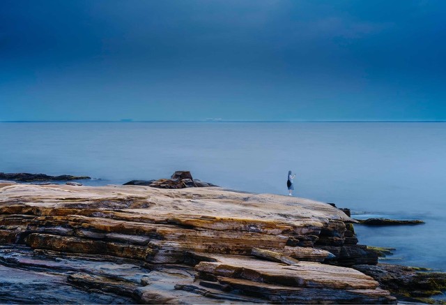 论诗的本质,诗性与人的本性