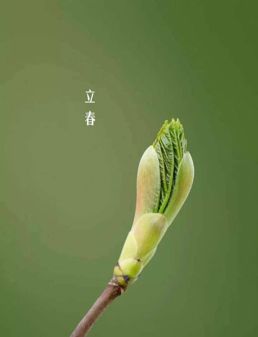 华润万家便利店店员,华润万家超市服务员