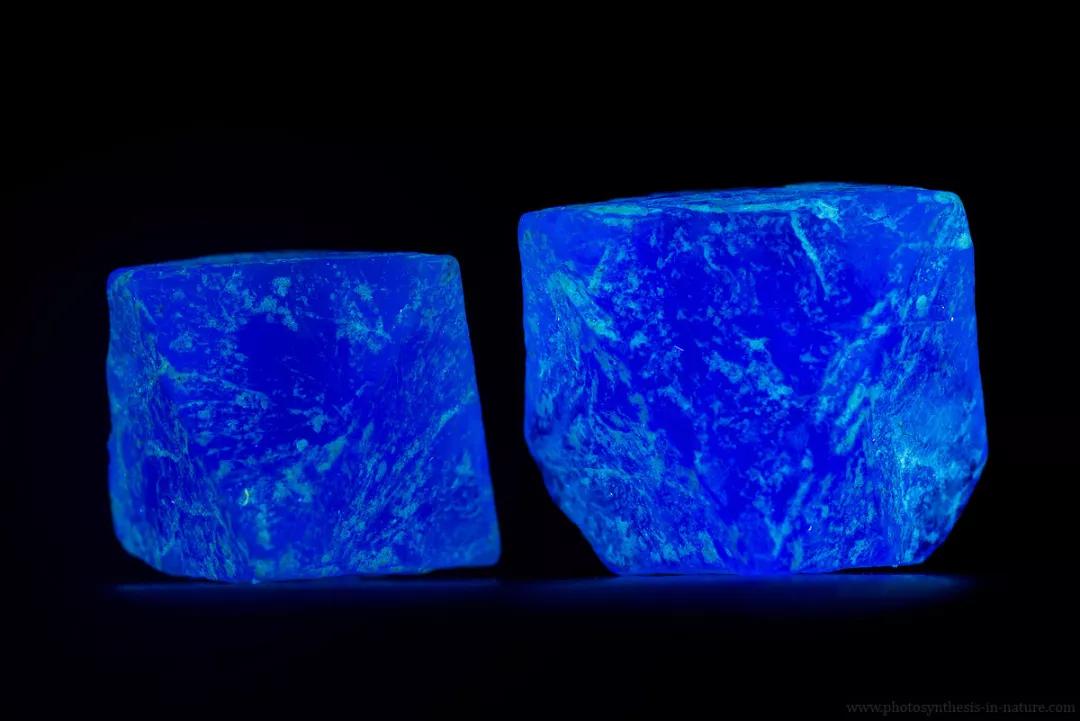 紫外线外星人真的存在吗,外星生命紫外线